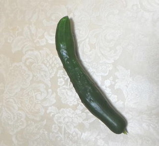きゆうり.jpg