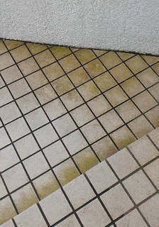 玄関.jpg