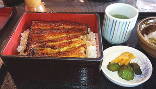 うなぎ.jpg