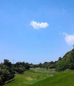 成田ヒルズ.jpg